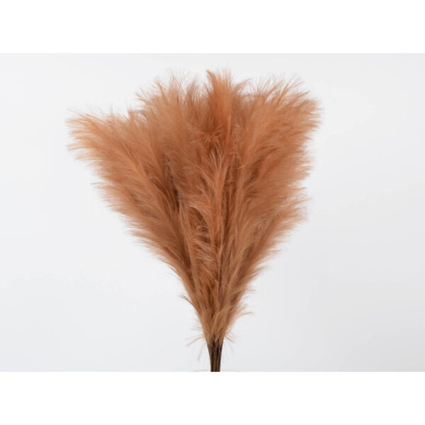 Branche Bunch Plume Marron