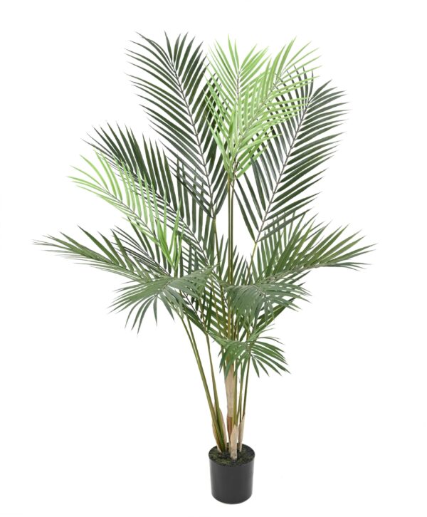 ARECA Artificielle 100cm