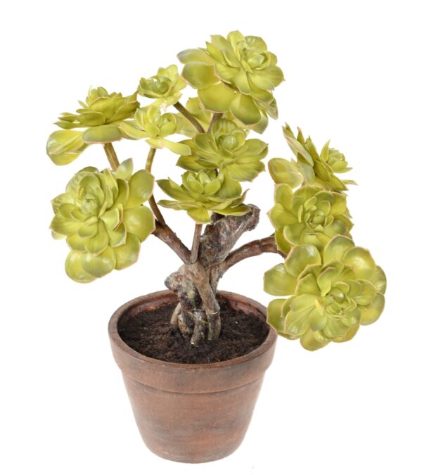 SUCCULENT POT Artificielle